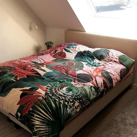 Wh36 Gezellig Vakantiehuis Met 2 Slk, Tuin En Parking Coxyde