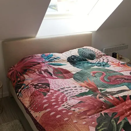 Wh36 Gezellig Vakantiehuis Met 2 Slk, Tuin En Parking * Koksijde