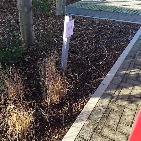 Wh36 Gezellig Vakantiehuis Met 2 Slk, Tuin En Parking * Coxyde